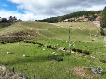 Waihola Bare Land Block