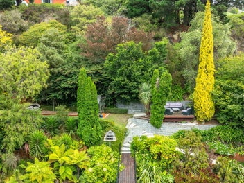 Treetop Tranquillity with Space to Spare!