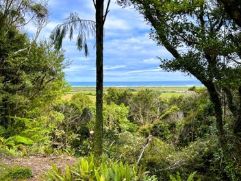 Image 1 of 22