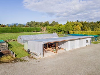 Wow - Woodbury Wonderland - 4.3 Hectares