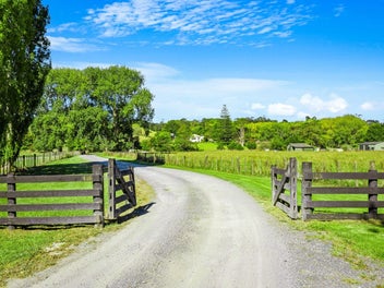 The old cellar door - Matakana