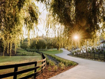 The Willows - 5 LOTS Available