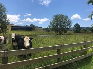 Blue Tides Farm