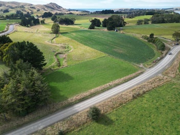 Your Catlins canvas