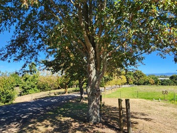 Lifestyle property with endless potential!