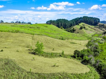 Dreaming of country living?