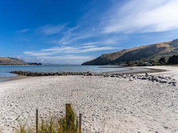 Wild Dunedin At Its Best in Harington!