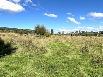 Image 1 of 16