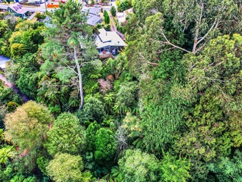 Luxury Living in Nature
