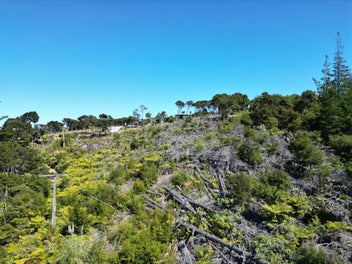 Affordable Island Escape - 3,877m2 in South Cove