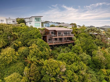 Tree house with stunning Wellington views!