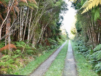 Image 1 of 16