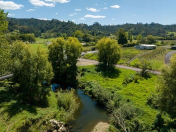 $1.00 Reserve - Tirohanga Stream Lifestyle
