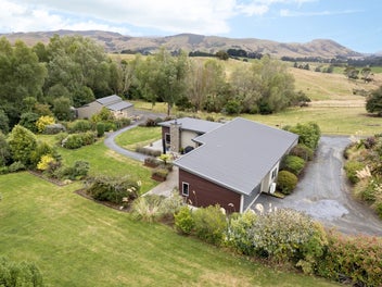Catlins calling you home!