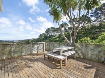 Sun Soaked. Hataitai Oasis