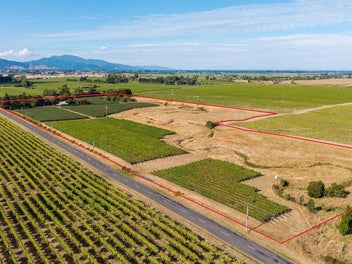 The perfect lifestyle choice in Marlborough