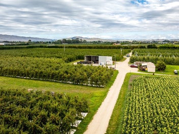 Orchard income and opportunity