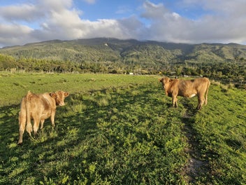 Stunning Rural Section at Powerhouse Road