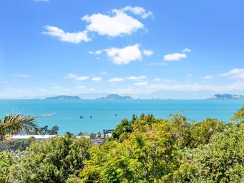 Love the location Sea Views & Rangi Zone