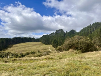Image 1 of 16