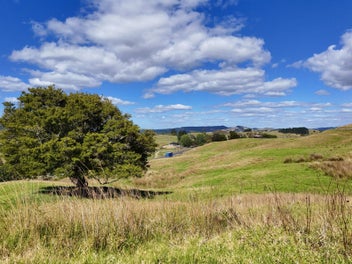 Image 1 of 18