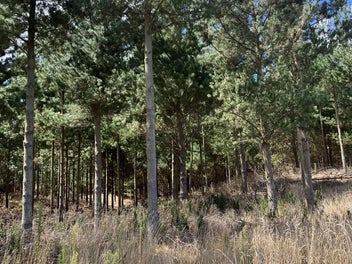 Motivated vendor - offers encouraged