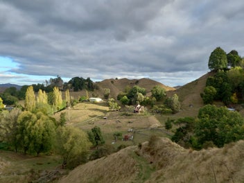 Image 1 of 39