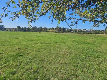 Wide Open Spaces. All Offers Invited!