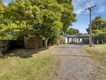 Kiwi, quarter acre dream !