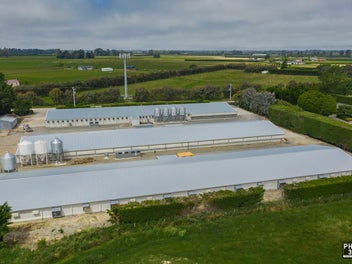 Image 1 of 20