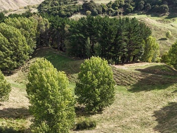 Idyllic Lifestyle Opportunity – Income and Space