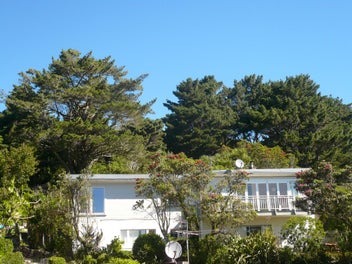 Image 1 of 35