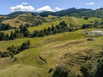 2.03 Ha of Land in Waihi – The Heart of Gold