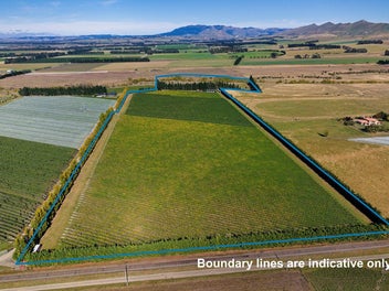 Waipara Vineyard Lifestyle