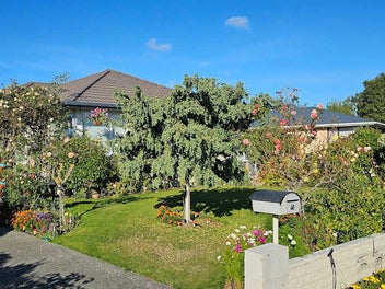 Image 1 of 3