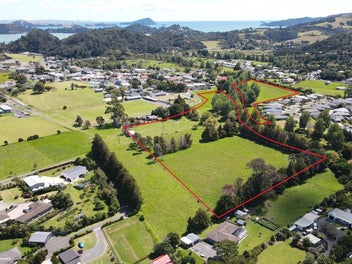 Lifestyle opportunity in the heart of Coromandel
