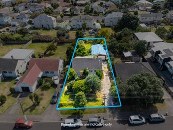 Unlock the Potential - Prime 809sqm in Panmure!