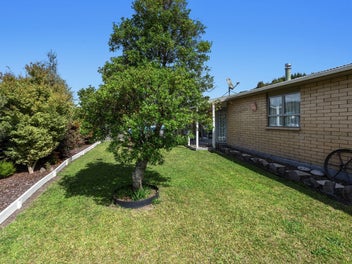 Solid and Spacious in a Sought-After Location