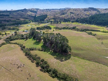 Image 1 of 50