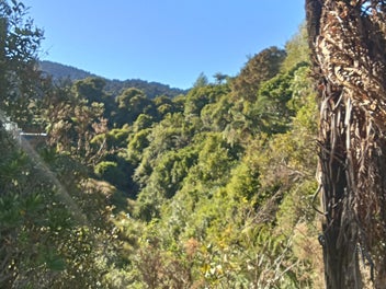 lifestyle block hidden gem