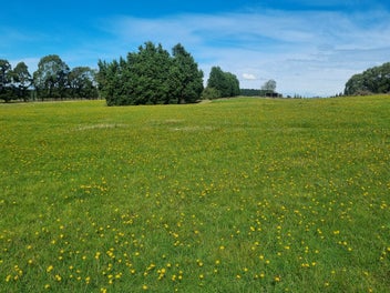 Ultimate Lifestyle/Future Subdivision Potential
