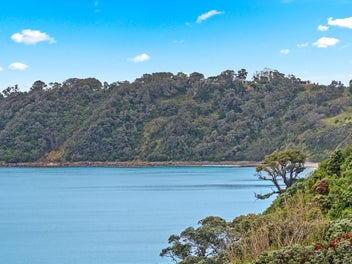 Grand Stand for Daniel's Reef