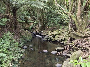 Quiet, Calm, Tranquil - Streamside Estate Sections