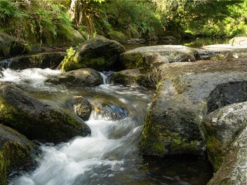 Escape to Wainui - Secluded and Secret