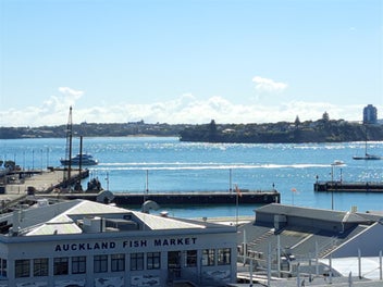 Image 1 of 19