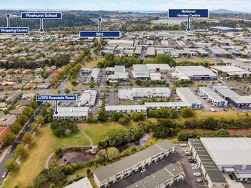 Very Affordable Apartment - Prime Albany Location