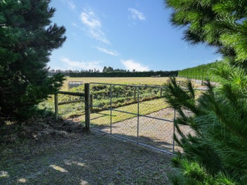 Image 1 of 7