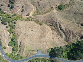 Image 1 of 19