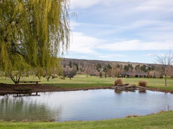 Image 1 of 14