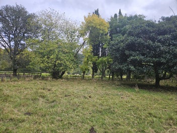 Image 1 of 8
